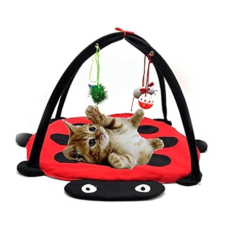 Alfombras gatos | Todo gatos