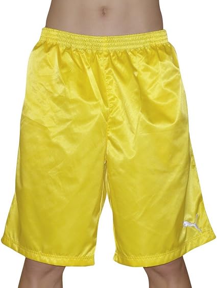 puma dri fit pants
