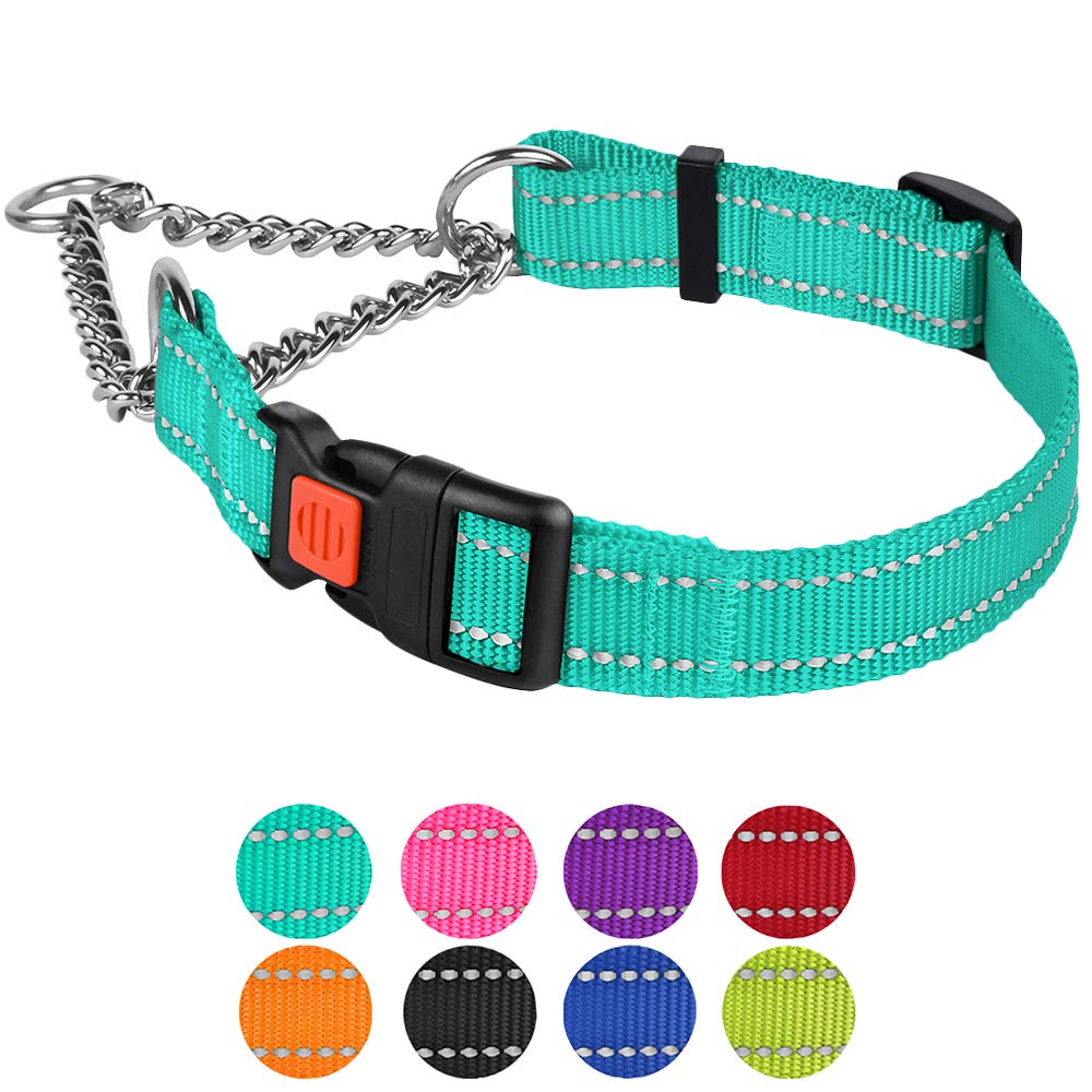 CollarDirect Martingale Dog Collar with Stainless Steel Chain and Quick Release Buckle - Reflective Collar for Large, Medium, Small Dogs - Mint Green, Small (Neck Size 12"-15")