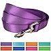 Blueberry Pet Essentials Dark Orchid Dog Leash for X-Small -5' * 3/8