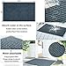 DUSICHIN DUS-315 Entrance Rug Floor Mats Shoes Scraper Doormat for Indoor Outdoor 31.5X20 Inches