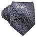 Barry.Wang Black and Grey Tie Set Silk Neckties Formal