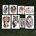 Tattify Cool Female Portrait Temporary Tattoos - Ladies Night (Set of 16 Tattoos - 2 of each Style) - Individual Styles Available and Fashionable Temporary Tattoos