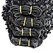 AMELI 4 Kinky Curly Human Hair Short Curly Bundles Water Weave Hair Human Bundles Unprocessed Virgin Brazilian Hair Extensions (8 8 8 8)