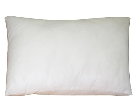 Lushomes Rectangle Cushion Filler White Pillow Insert 16 X 20