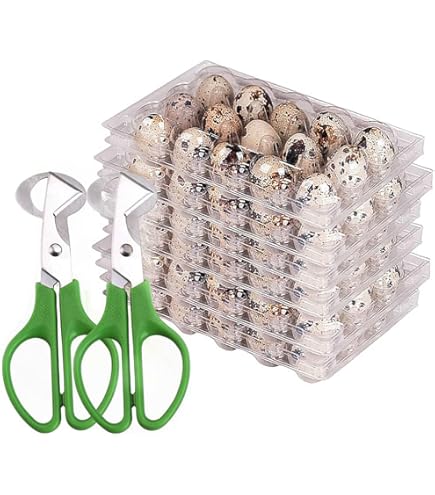 JIEHIN 120 Cajas De Huevos De Codorniz De Plástico, 12