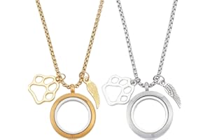 DELORIGIN 2Pcs Pet Hair Memorial Necklace Stainless Steel Fur Ashes Keepsake Necklace Clear Glass Locket Necklaces with Wing 