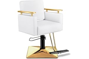 Baasha Salon Chair, Barber Chair with Stainless Steel Armrest, Salon Styling Chairs for Hair Stylist, Hydraulic Styling Chairs, Beauty Spa Equipment (Gold&White)