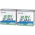 Redodo 12V 20Ah LiFePO4 Battery, 4000+ Deep Cycles Lithium Battery with 20A BMS, 256Wh Energy, Perfect for Kayak Finshfinder, Ice Fishing, Electric Fishing Reel, GPS, Camping (2 Pack)