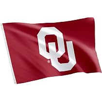 Desert Cactus NCAA Flagge Oklahoma Baptist University - 91x152 Cm, 100% Polyester, Für Indoor & Outdoor