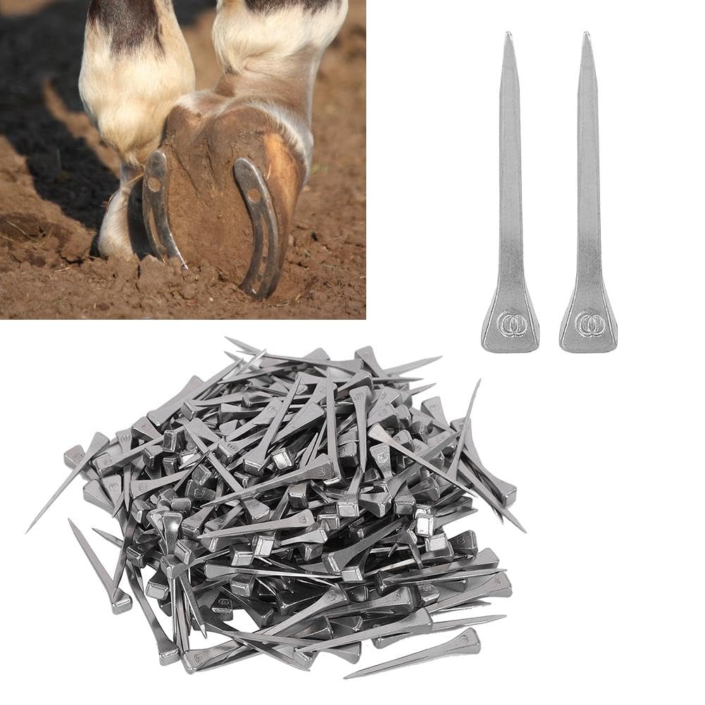 Nikou Horseshoe Nails 250pcs High Tensile Strength E3 Equestrian Sport Equipment Stable for Horse Steel Nails