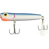 Storm Chug Bug 06 (Metallic Silver/ Blue Back, Size- 2.5)