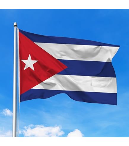 DMSE - Bandera De Lituania De 2 X 3 Pies, 100% Poliéster, Bandera 100D