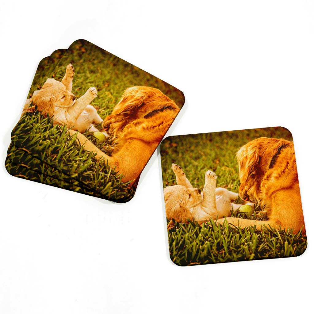 Big Box Art 4-Piece Coaster Set for Drinks with Golden Retriever Dog and Puppy Art Design Print | Artistic Kitchen, Table and Bar Decor for Tea, Coffee, Wine, Multi-Colour, 9 x 9 m
