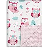 Owl Kid Blanket for Girl - Soft Kids Throw Minky Blankets with Dotted Backing for Girls - Kids Nursery Crib Blanket 30x40