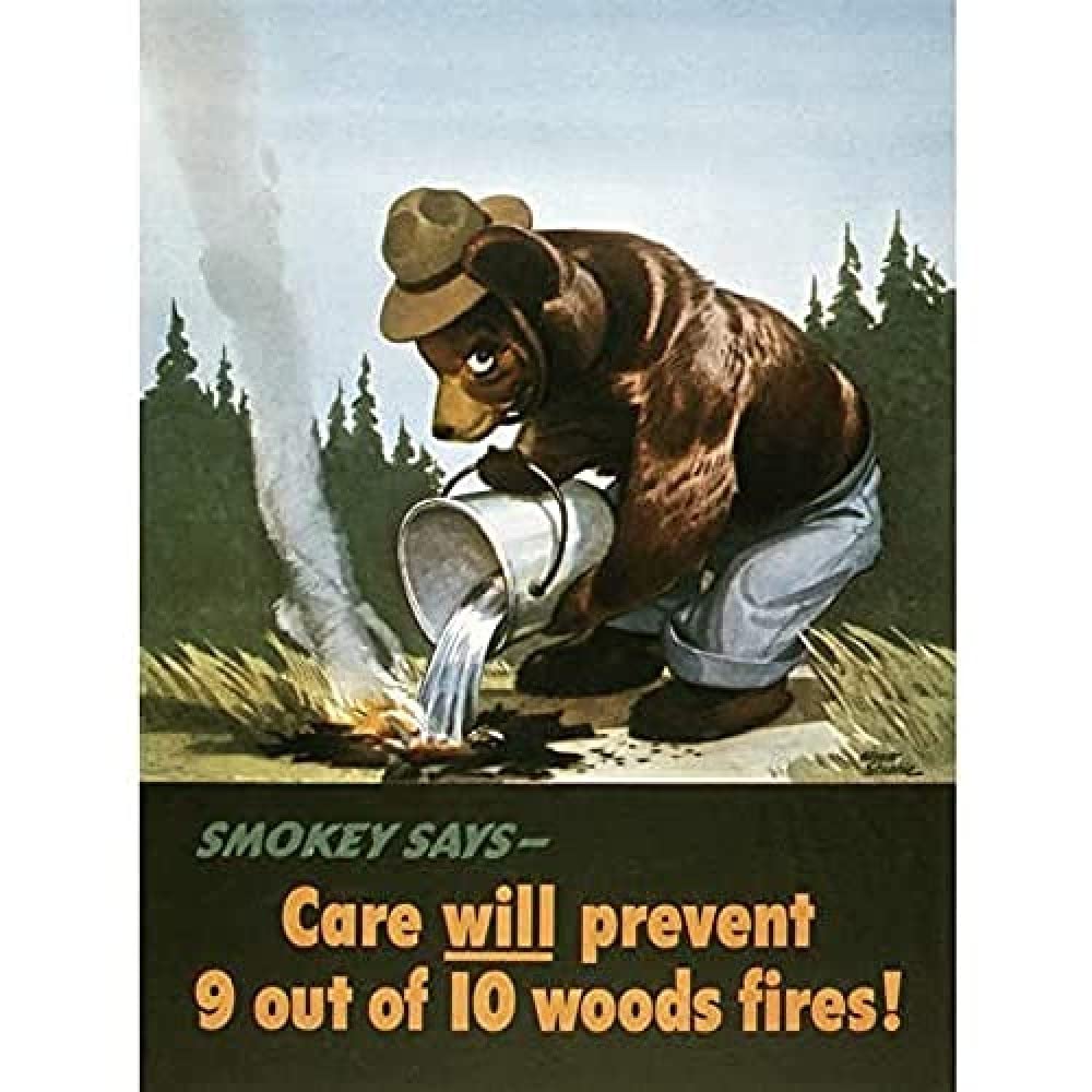 War WWII USA Smokey Bear Prevent Forest Fires Advert Art Print Canvas Premium Wall Decor Poster Mural