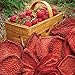 Brothers-ALL-Natural Fruit Crisps, Strawberry Banana, 0.42 Ounce (Pack of 12)