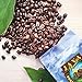 Low Acid Organic Coffee – Whole Bean, Mold-Free & Stomach Friendly by Java Planet, Good Morning Blend Coffee, Medium Roast, Smooth Full Flavored, 1LB Bag