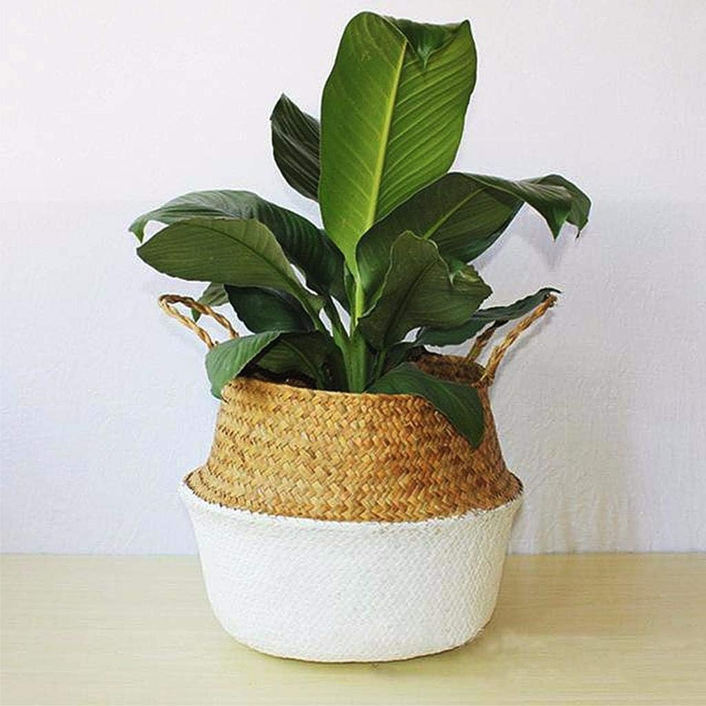 LONG7INES Foldable Seagrasss Flower Baskets Garden Flower Pot Natural Seagrass Basket Woven Plant Pot Handmade Belly Basket Rattan Straw Basket with Handle for Storage Laundry Picnic Plant Pot, White