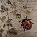 LINKWELL 45x45cm Seven-Spotted Ladybug Ladybird Insects Coccinella Septempunctata Green Leaf Linen Cushion Cover Pillow Case CC267