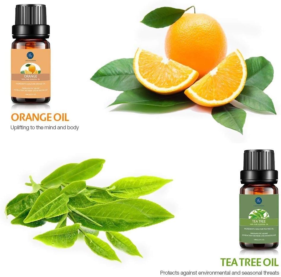 Lagunamoon Essential Oils Set, Aromatherapy Oils Set Includes Lavender, Tea Tree, Peppermint, Lemongrass, Orange, Rosemary, Frankincense, Lemon, Rosemary, Cinnamon, and Ylang-Ylang - Pack of 12, 10ml: Health & Personal Care