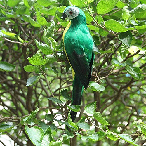 Oral Dentistry Realistic Parrot with Artificial Bird Feathered Decoration Ornament Birds Imitation Animal Model Outdoor Garden Lawn Tree Decor (White) - Thumbnail 4