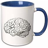 3dRose 15oz Coffee Mug Two Tone Blue, Brain Ceramic Mug - Unique Brain Themed Gifts for Science Lovers - Coffee Mug for Home, Office, or Classroom - Ideal for Students, Teachers, or Professional