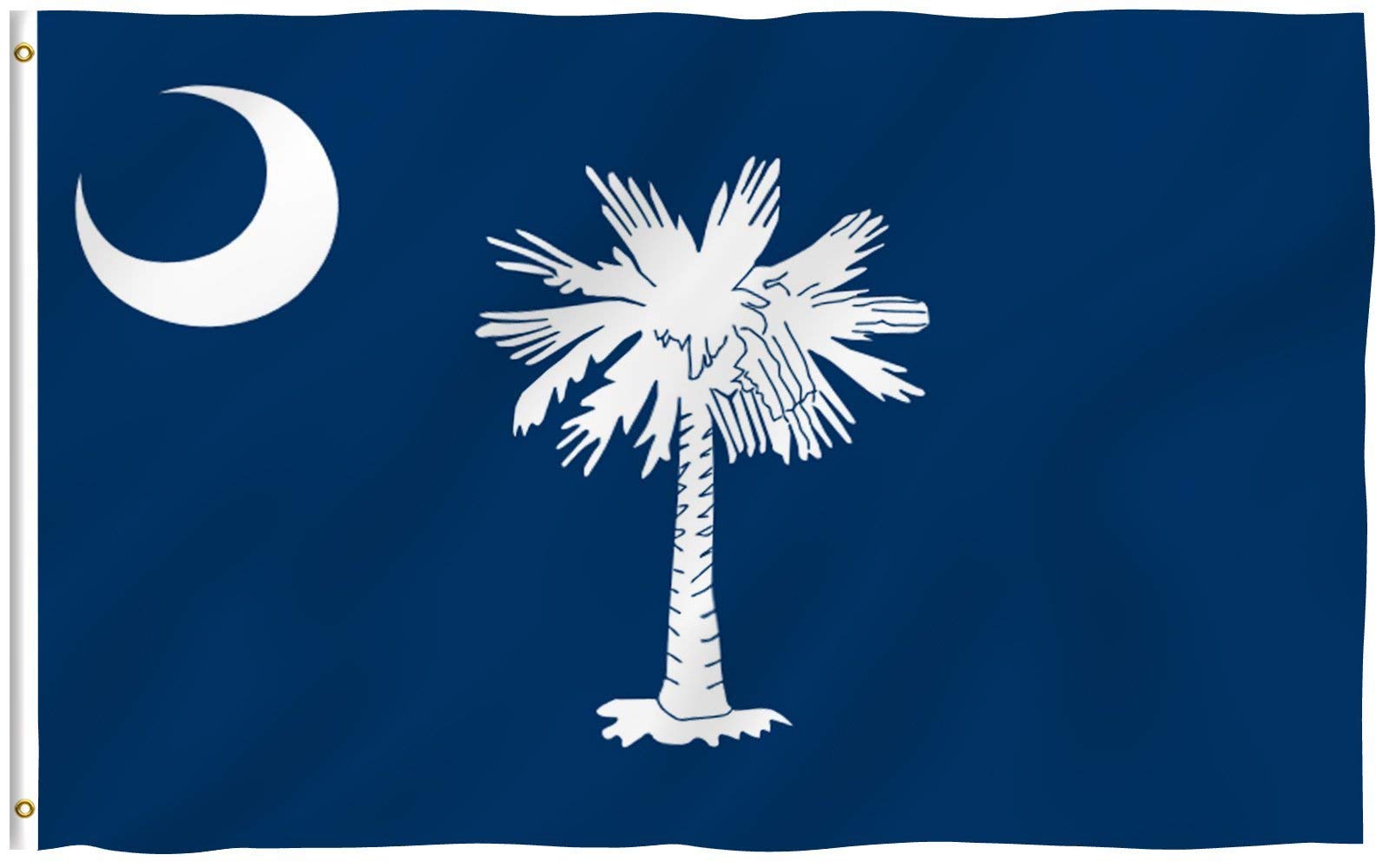 Photo 1 of Anley Fly Breeze 3x5 Foot South Carolina State Polyester Flag - Vivid Color and Fade proof - Canvas Header and Double Stitched - South Carolina SC Flags with Brass Grommets 3 X 5 Ft