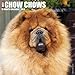 Just Chow Chows 2018 Calendar