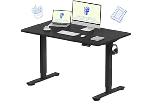 FLEXISPOT EN1 Whole-Piece Standing Desk 48 x 24 Inches Electric Height Adjustable Desk for Home Office (Black Frame + Black Table Top)