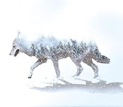 Amazon Com Gvgs Shop 1 Pack Wolf Moon Birds Pvc Material