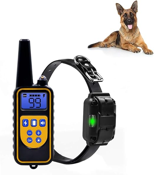training a german shepherd using a shock collar