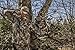 Scent-Lok Men's Full Season Release Gloves
