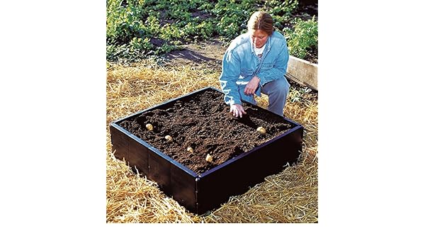 Garland - Bandeja de cultivo: Amazon.es: Jardín