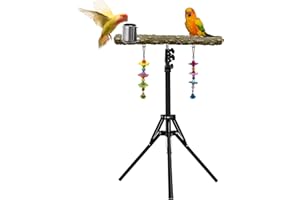 Arfubye 16-63 Inch Height Adjustable Bird Perch Pepper Wood Parrot Training Perch Stand with Feeding Cups and Swing Toy Parakeet Perches Indoor and Outdoor Parrot Stands for Small to Medium Bird