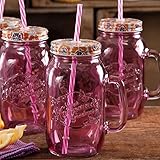 The Pioneer Woman Simple Homemade Goodness 32-Ounce Mason Jars with Handle, Lid and Straw, Set of 4 (Plum)