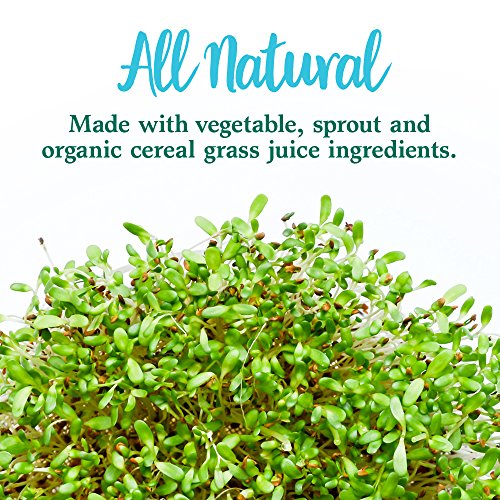 image for Garden of Life Whole Food Vegetable Supplement - Perfect Food Green Su