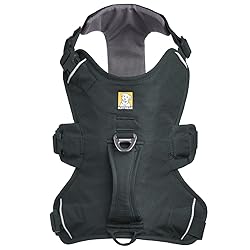 Ruffwear, Web Master, Multi-Use Support Dog