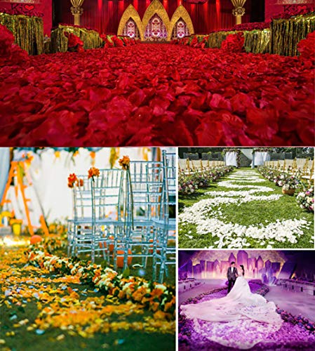 KALOR 1000pcs Silk Artificial Fabric Flower Rose Petals for Wedding Confetti Flower Girl Bridal Shower Hotel Home Party Valentine Day Flower Décor Dark Red