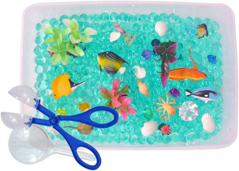 Revelae Discovery Box for Sensory Play - Ocean Exploration Theme