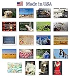 JOKES postcard set of 20. Post card variety pack of funny joke postcards. Made in USA.