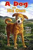 A Dog on His Own