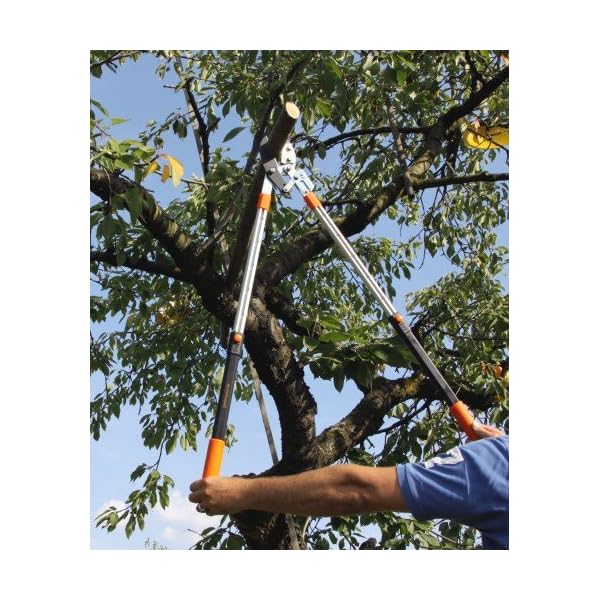 Gartenpaul Teleskop Astschere mit 6-Fach verstellbaren Griffen | Amboss Klingensystem mit Antihaftbeschichtung… – Bild 6