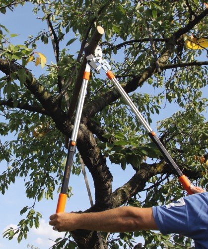 Gartenpaul Teleskop Astschere mit 6-Fach verstellbaren Griffen | Amboss Klingensystem mit Antihaftbeschichtung… – Bild 6