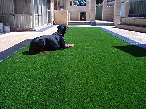 Synturfmats Premium Indoor/Outdoor Green Artificial Grass Rug - 2'x3' Decorative Synthetic Turf Runner Rugs Carpet with Drainage Holes
