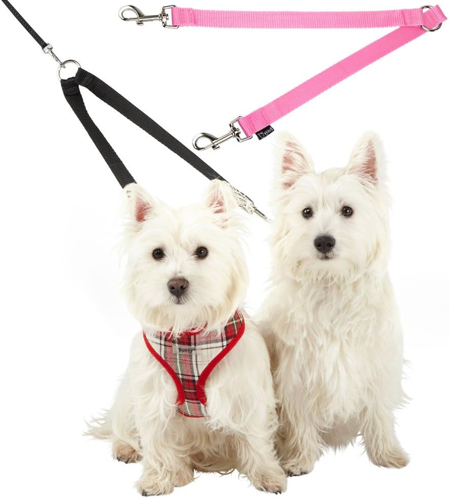 double attachment dog harness