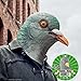 Adult Latex Pigeon Bird Mask Costume Accessory