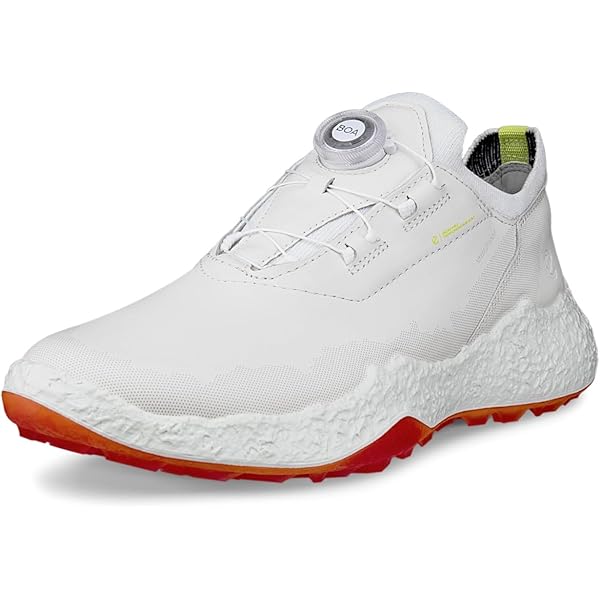 Amazon.com: ECCO Men's Biom Hybrid 5 BOA Waterproof Golf Shoe