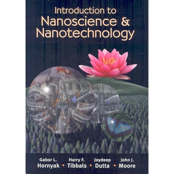 Amazon.com: Mesoscopic Physics and Electronics (NanoScience