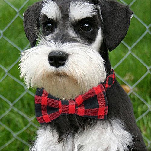 Stock Show 2Pcs/Pack Pet Dog Cat Fashion Bowtie Collar with Cute Detachable Bowknot Charm Pet Adjustable Classic Gentleman Plaid Collar for Small Medium Dog Puppy Cat Kitten Kitty, Black and Red
